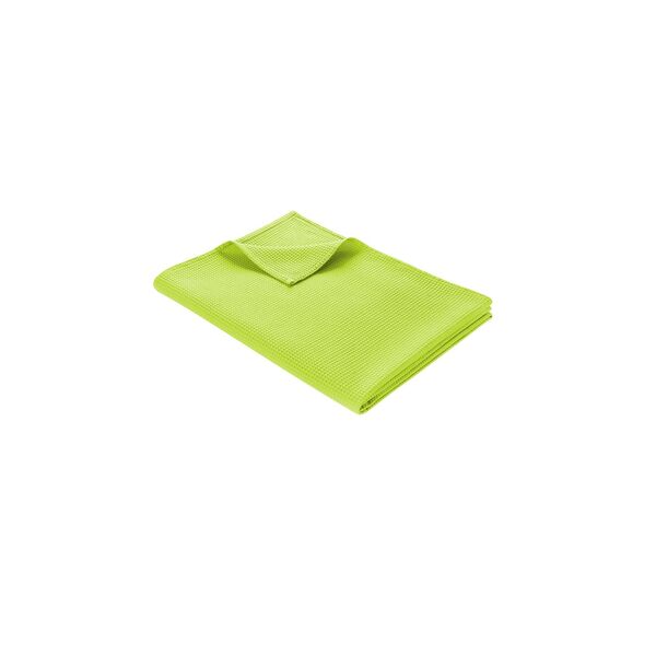 Bild 1 von WOHNWOHL® Tagesdecke • Baumwolldecke • Waffelpique Wohndecke • Sofaüberwurf • leichte Sofadecke • ÖkoTex Standard 100  • versch. Größen und Farben