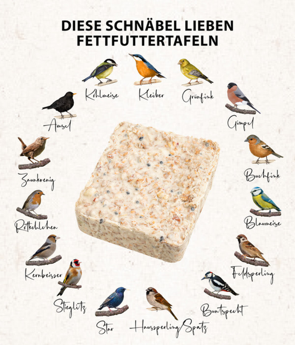 Bild 4 von Dehner Natura Futtertafel mit Beeren, 12x300 g