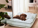 Bild 2 von zoofari® Hundebett