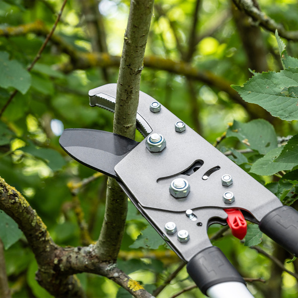 Bild 1 von Profi-Teleskop Astschere mit Ratsche