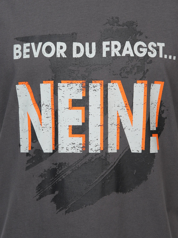 Bild 3 von Herren T-Shirt mit lustigen Sprüchen Grau