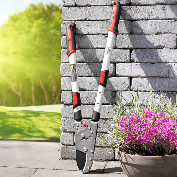 Bild 2 von Profi-Teleskop Astschere mit Ratsche