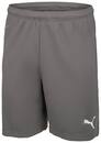 Bild 3 von PUMA Herren-Funktionsshorts