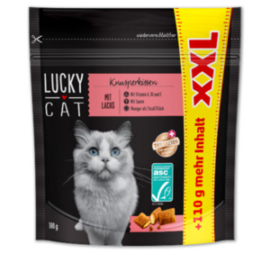 LUCKY CAT XXL Knusperkissen*