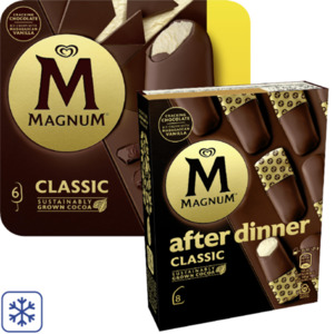 Magnum Multipack Eis