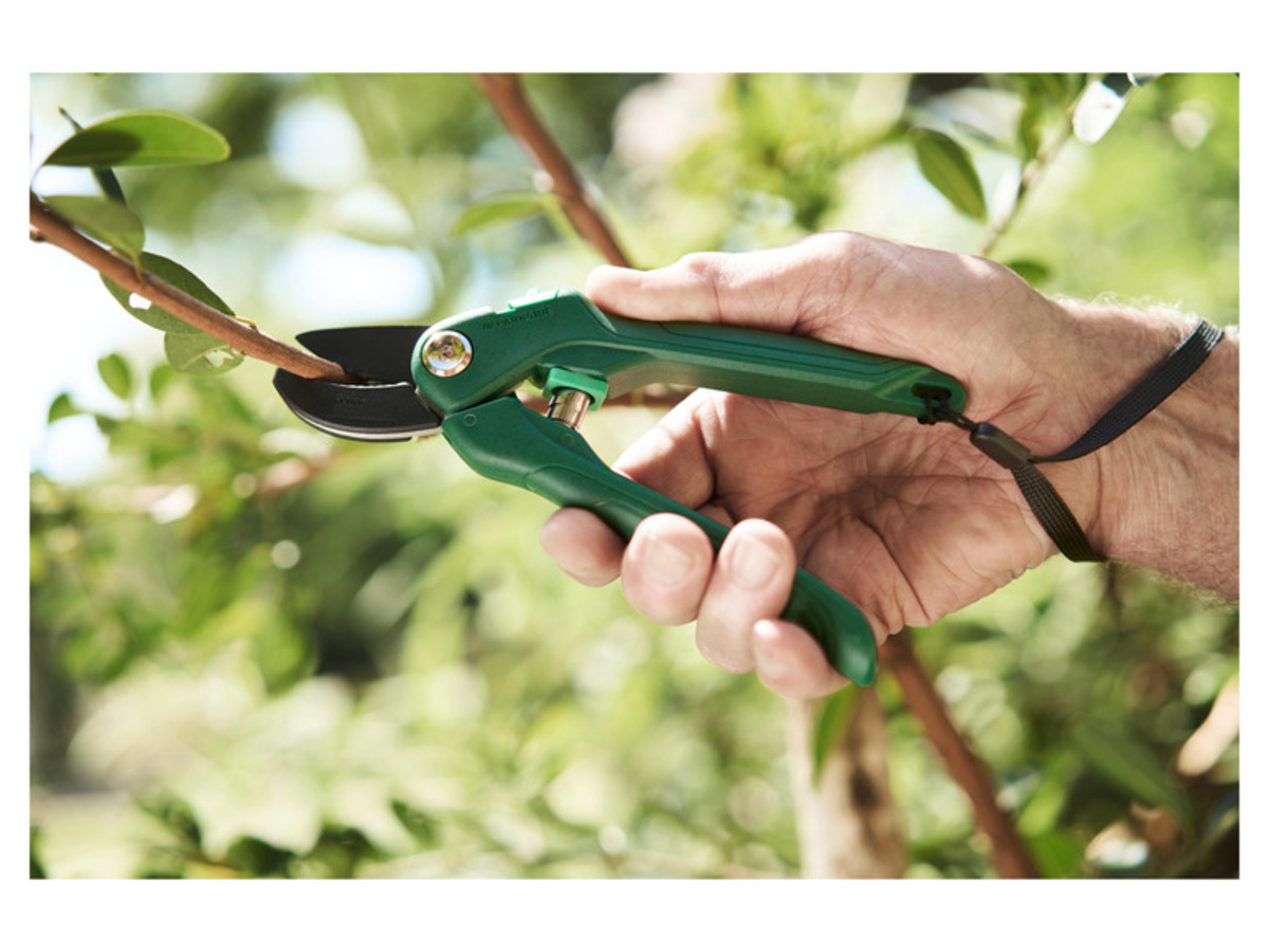 Bild 3 von PARKSIDE® EcoLine Gartenschere Amboss / Bypass / Universal