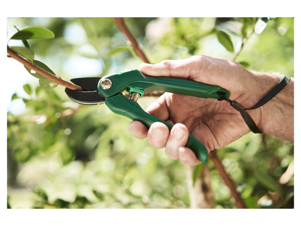 Bild 3 von PARKSIDE® EcoLine Gartenschere Amboss / Bypass / Universal