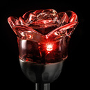 Bild 4 von I-Glow LED-Solar-Gartenstecker "Rose"