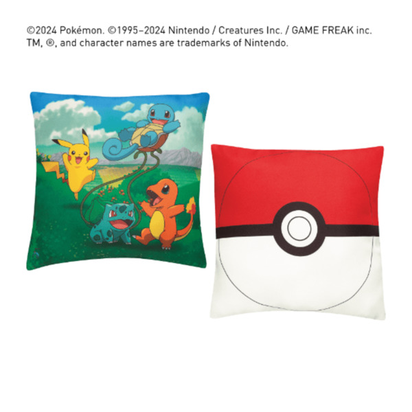 Bild 3 von Kissen / Fleecedecke