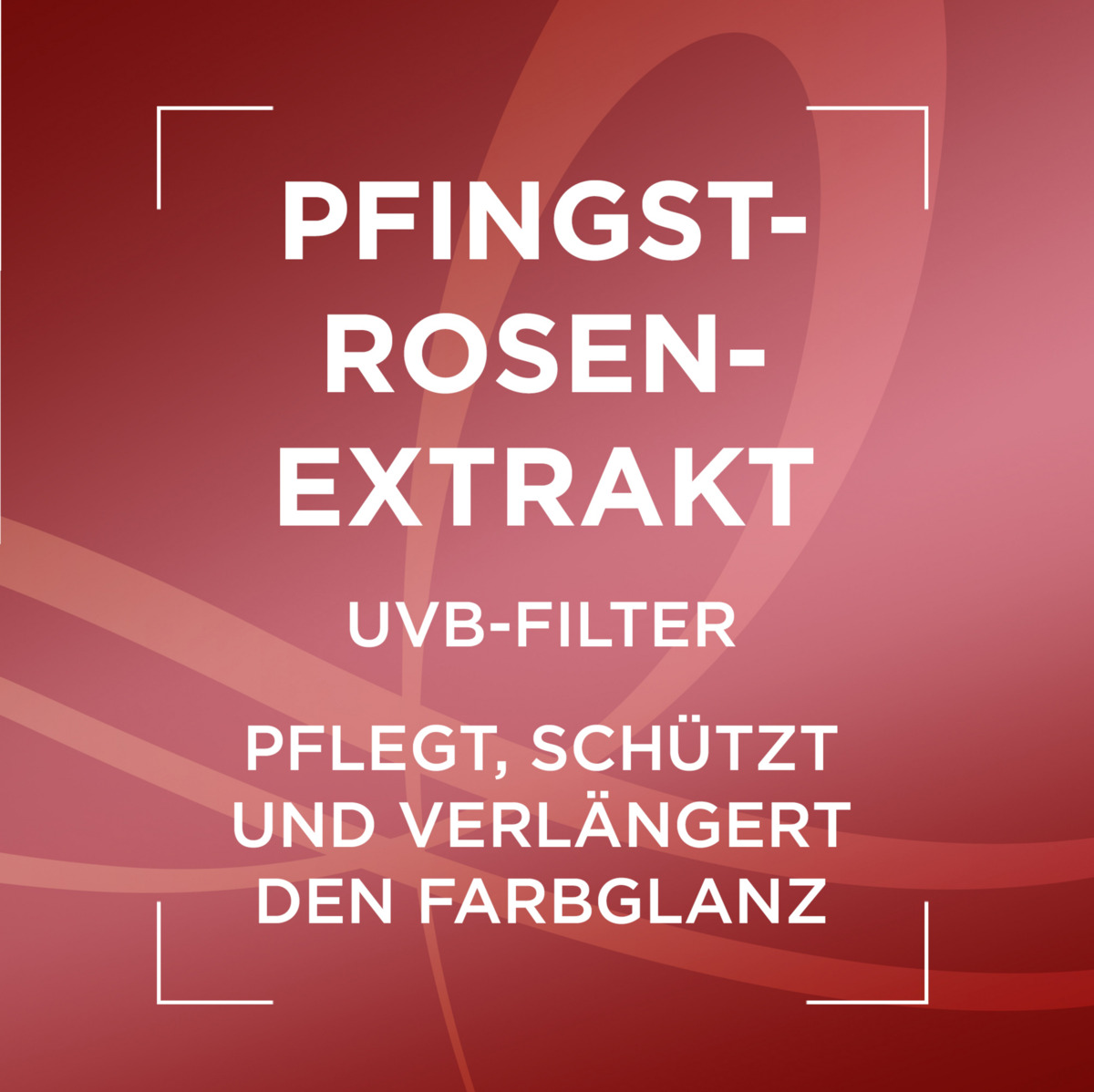 Bild 4 von L’Oréal Paris Elvital Color Glanz Pflege-Shampoo, 1.000 ml