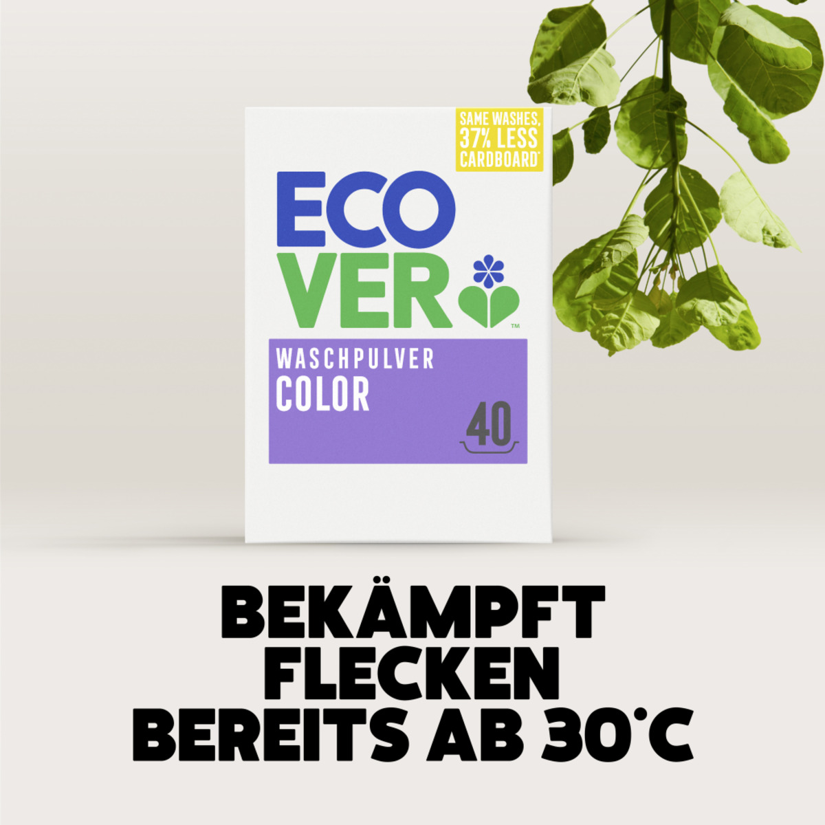 Bild 4 von Ecover Colorwaschmittel Pulver Lavendel & Eukalyptus 40 WL