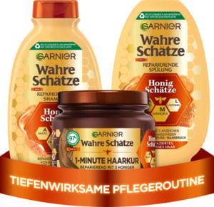 Garnier Wahre Schätze Honig Schätze Vorteilsset