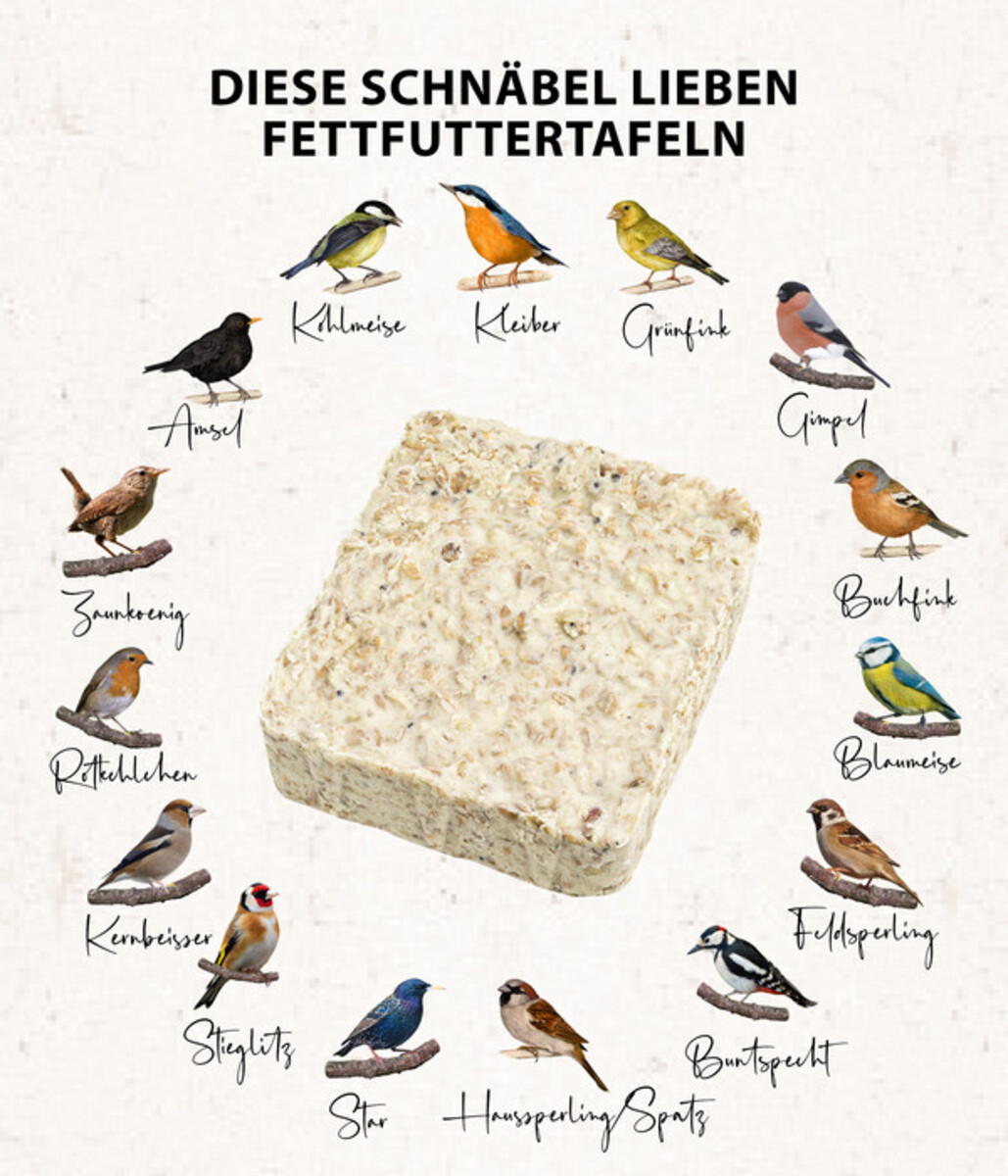 Bild 4 von Dehner Natura Futtertafel mit Erdnüssen, 12x300 g