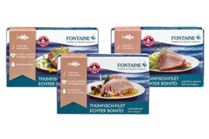 Thunfisch Echter Bonito