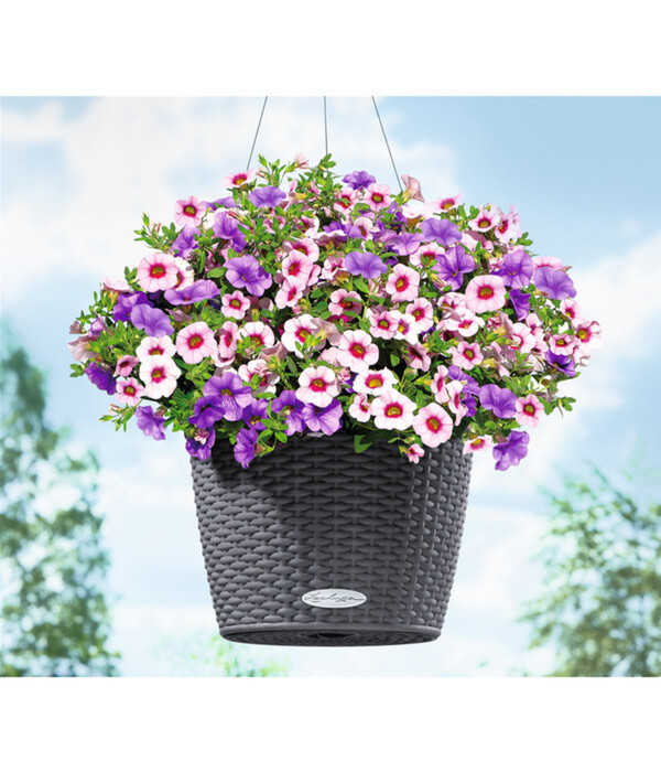 Bild 2 von LECHUZA® Kunststoff-Hängeampel Nido Cottage