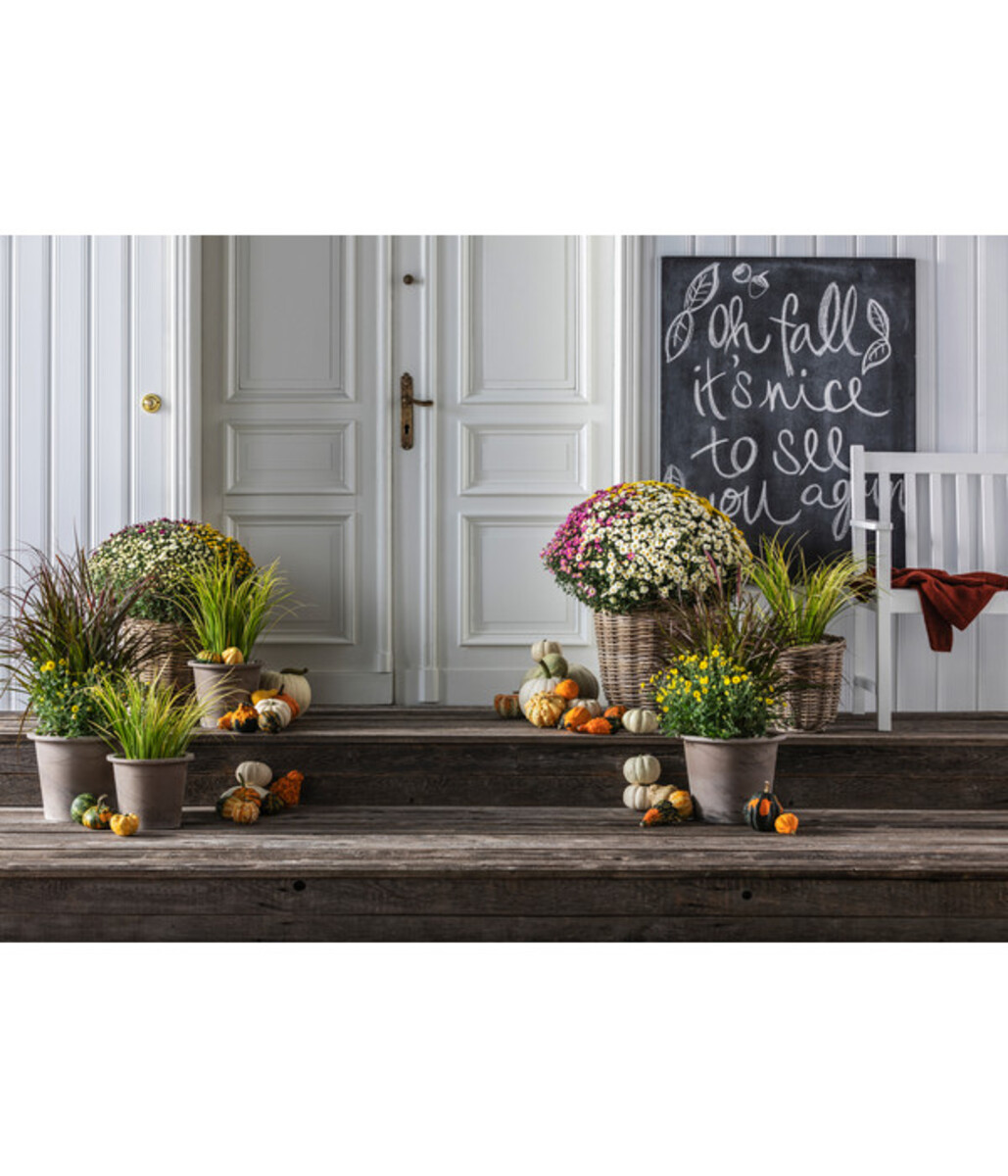 Bild 2 von Spang Terrakotta-Topf Vento