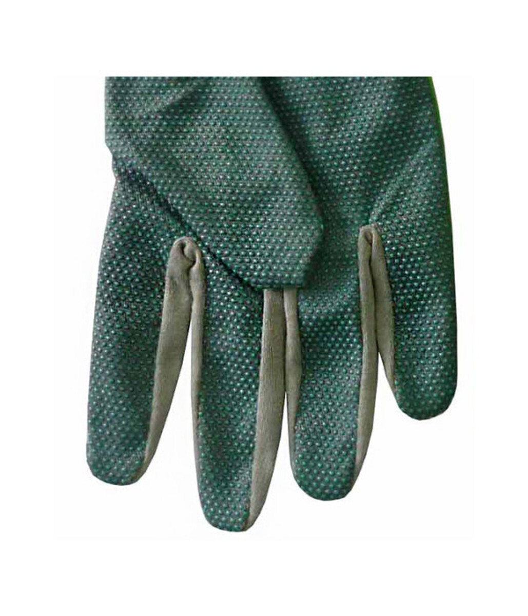 Bild 3 von Dehner Gartenhandschuh, grün