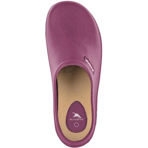 Blackfox Clog Colors Himbeer Gr. 38