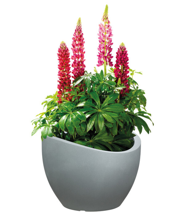 Bild 3 von Scheurich Kunststoff-Topf Wave Globe, rund, ca. Ø60/H44,7 cm