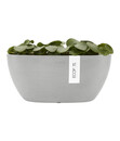 Bild 4 von Ecopots Kunststoff-Schale Sofia mit Wassersystem, oval, ca. B30/H13,5/T13 cm