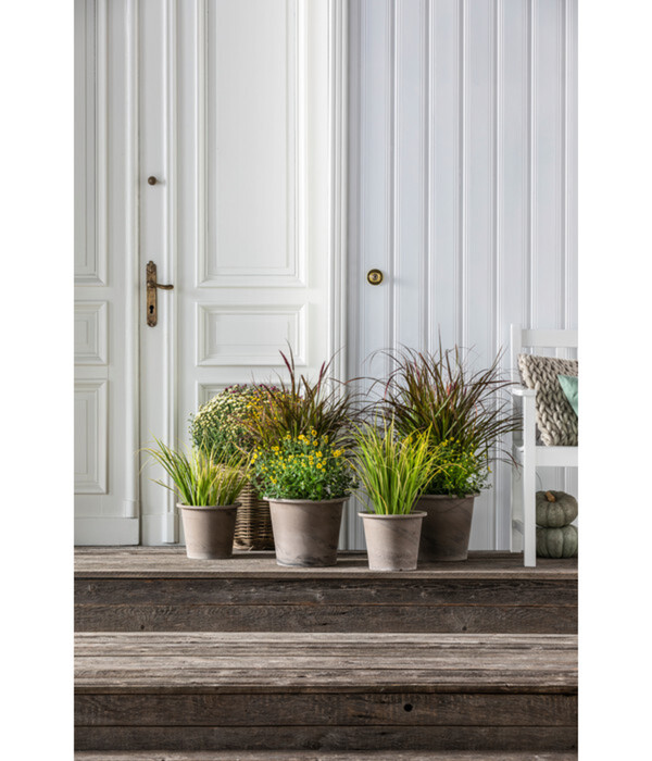 Bild 3 von Spang Terrakotta-Topf Vento