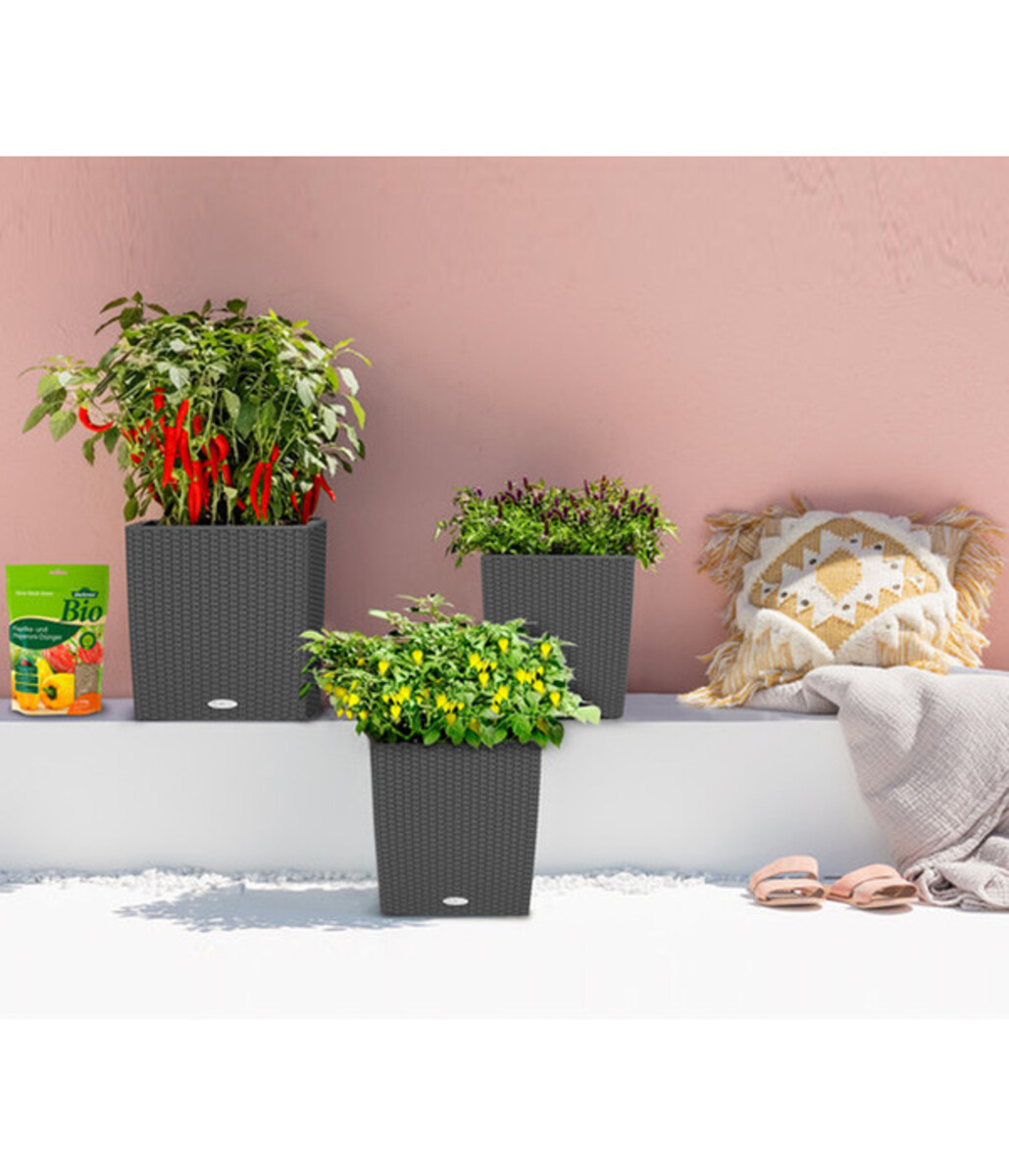 Bild 4 von LECHUZA® Kunststoff-Topf Cube Cottage, quadratisch