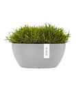 Bild 2 von Ecopots Kunststoff-Schale Sofia mit Wassersystem, oval, ca. B30/H13,5/T13 cm