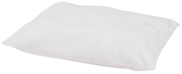 Bild 2 von K-CARINURA Katzenhöhle