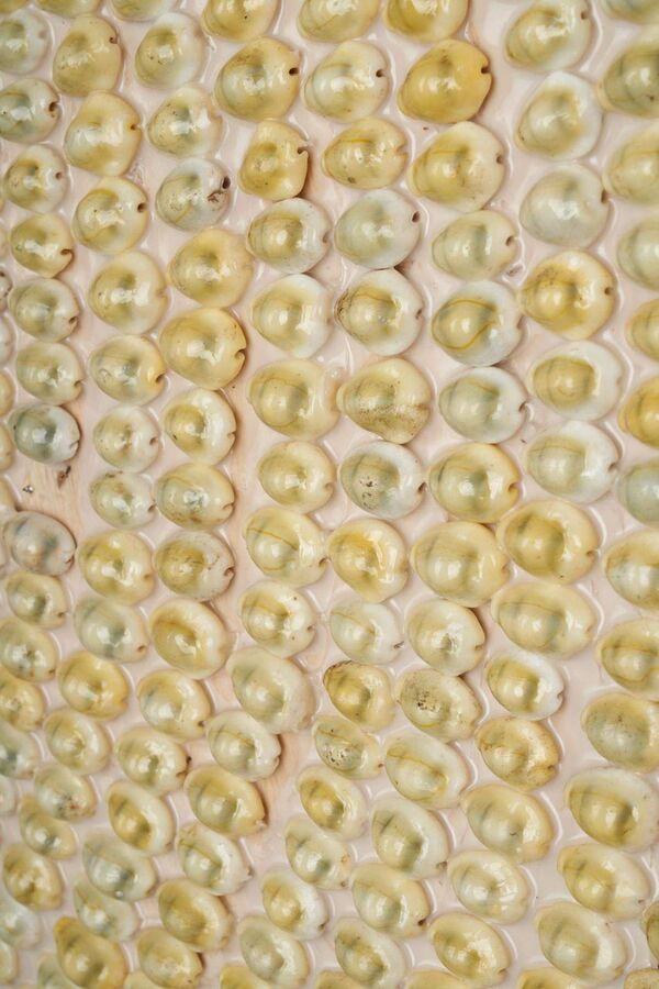 Bild 3 von Wandspiegel Muscheln