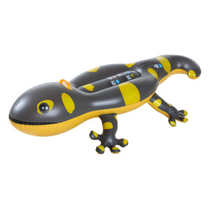 Schwimmtier Rider Gecko