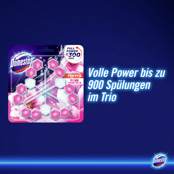 Bild 4 von Domestos Power 5 WC-Stein Pink Magnolie Megapack, 165 g