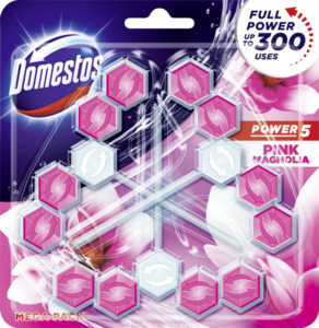 Domestos Power 5 WC-Stein Pink Magnolie Megapack, 165 g