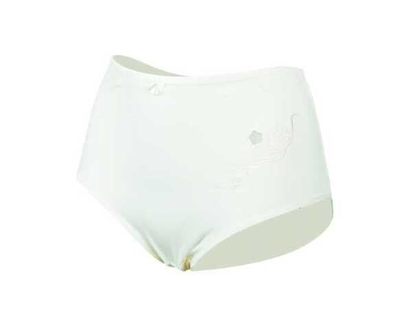 Bild 1 von Damen Slip Microfaser mit Stickerei Gr. 40/42–52/54 pastellfarben 2er 6fach