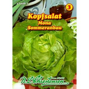 Kopfsalat, Mona