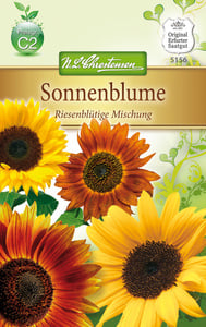 Helianthus Sonnenblume, riesenblütig, Mischung