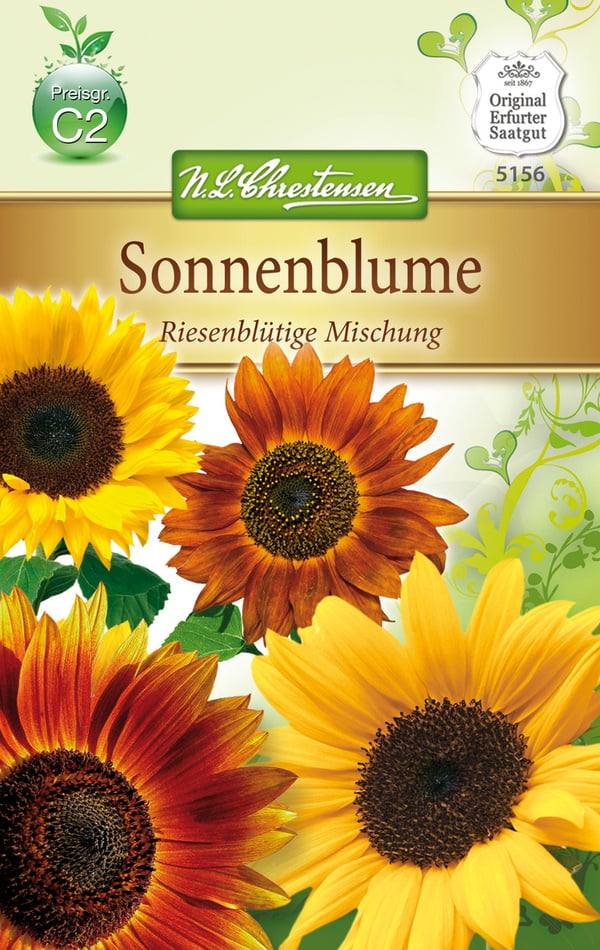 Bild 1 von Helianthus Sonnenblume, riesenblütig, Mischung