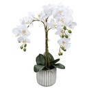 Bild 4 von HOME CREATION Naturgetreue Orchidee im Topf