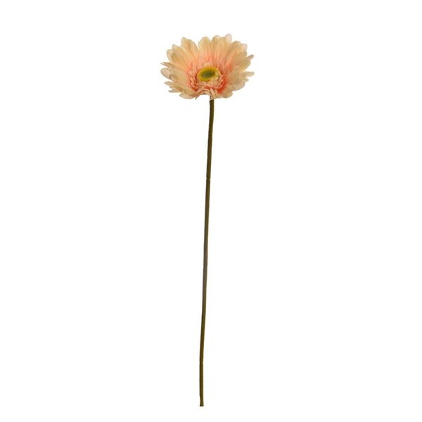 Bild 4 von künstliche Gerbera ca. 56 cm groß