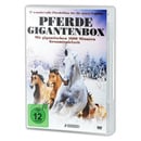 Bild 2 von XXL DVD Boxen