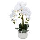 Bild 3 von HOME CREATION Naturgetreue Orchidee im Topf