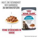 Bild 1 von ROYAL CANIN Care Urinary in Soße 12x85 g