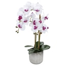 Bild 2 von HOME CREATION Naturgetreue Orchidee im Topf