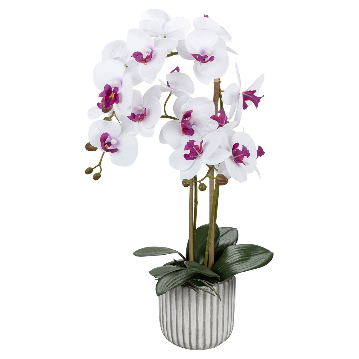 Bild 2 von HOME CREATION Naturgetreue Orchidee im Topf
