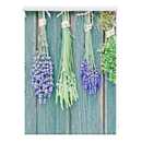 Bild 1 von Lichtblick Rollo Klemmfix, ohne Bohren, blickdicht, Kräuter - Petrol