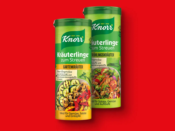 Bild 1 von Knorr Kräuterlinge,  60 g