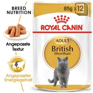 ROYAL CANIN British Shorthair Adult in Soße 12x85 g