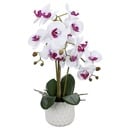 Bild 1 von HOME CREATION Naturgetreue Orchidee im Topf