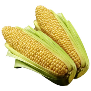 Deutschland Frischer Zuckermais