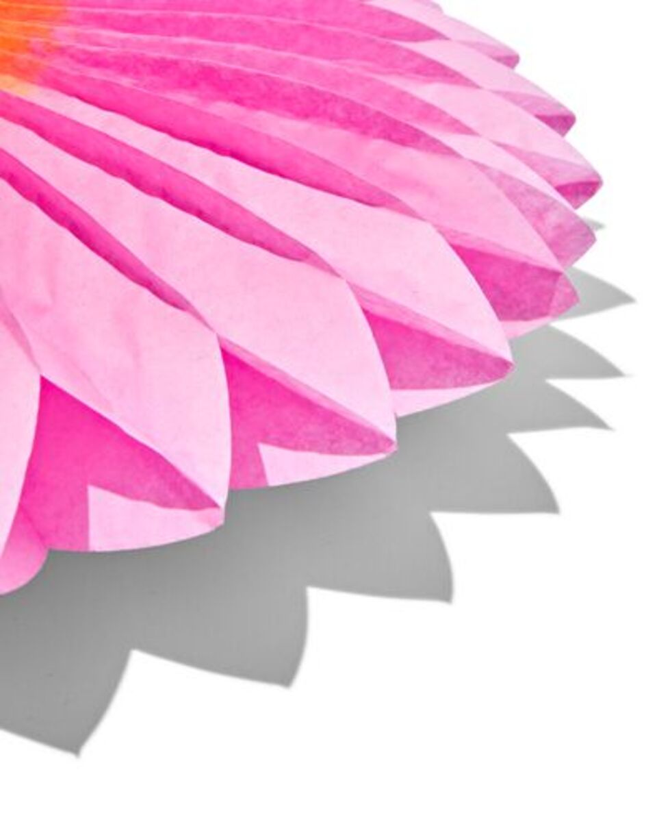 Bild 2 von 2er-Pack Papierfächer-Blumen