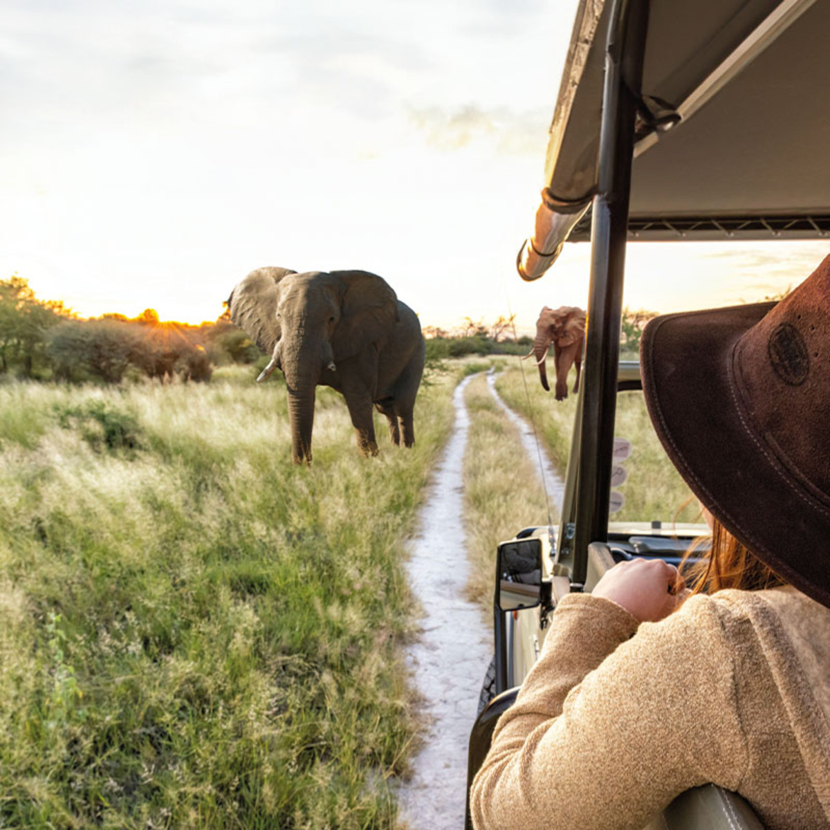 Bild 1 von Faszination Südafrika 2025